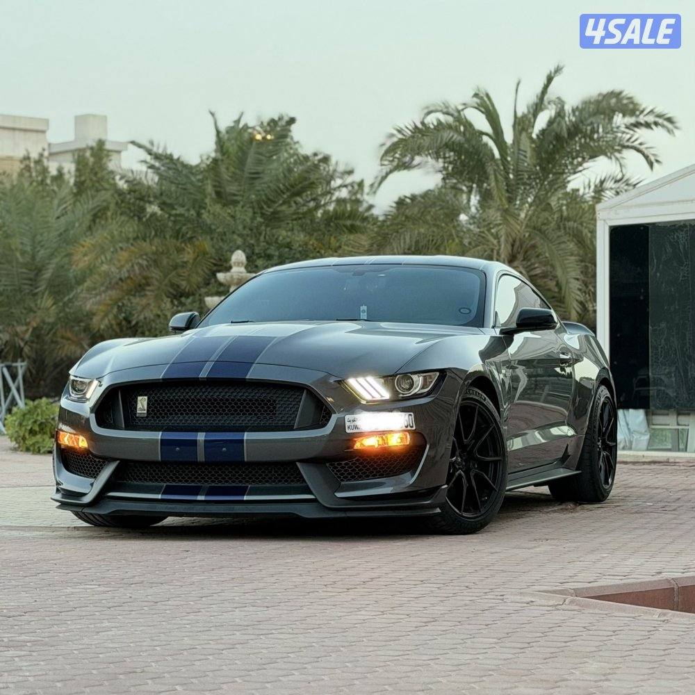 شلبي 350 بحالة المصنع0