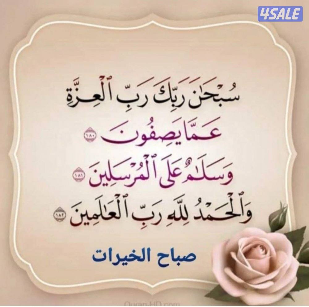 شاب بدون ابحث عن عمل ادى مكتب محاماة بدوام كامل0