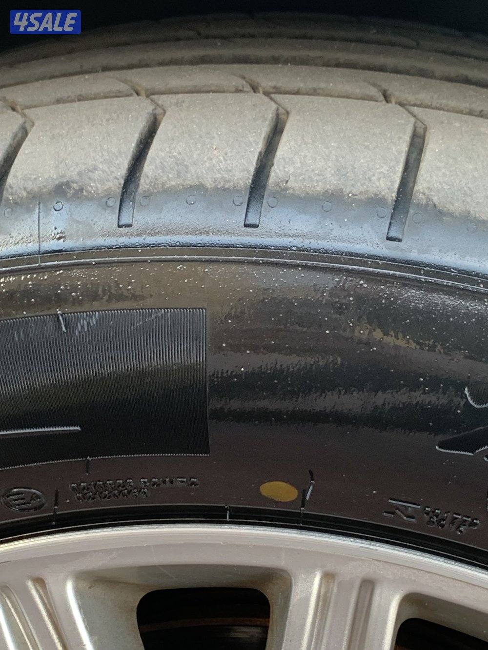 بحاله نادرة تبارك الرحمان13