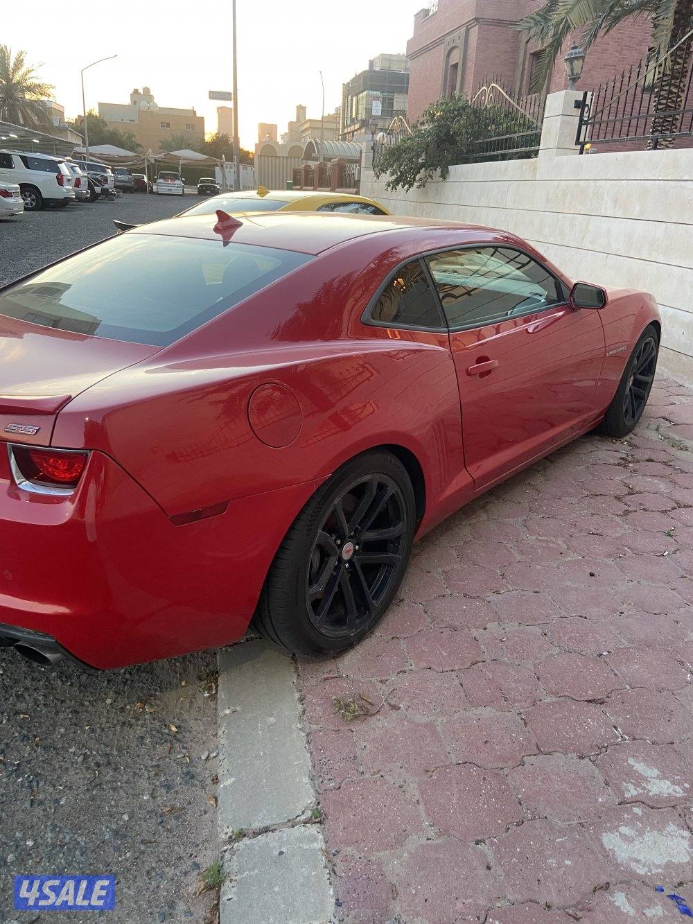 للبيع كمارو اس اس قير عادي3