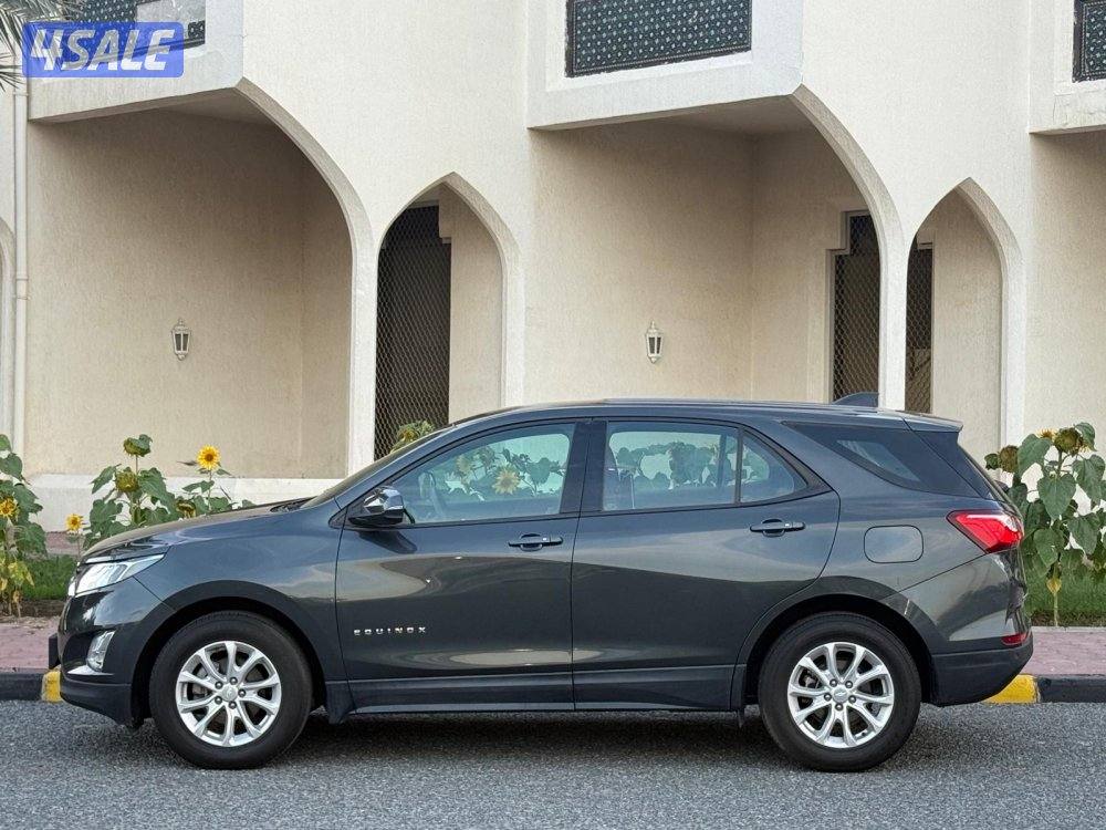 ايكونيكس 20196