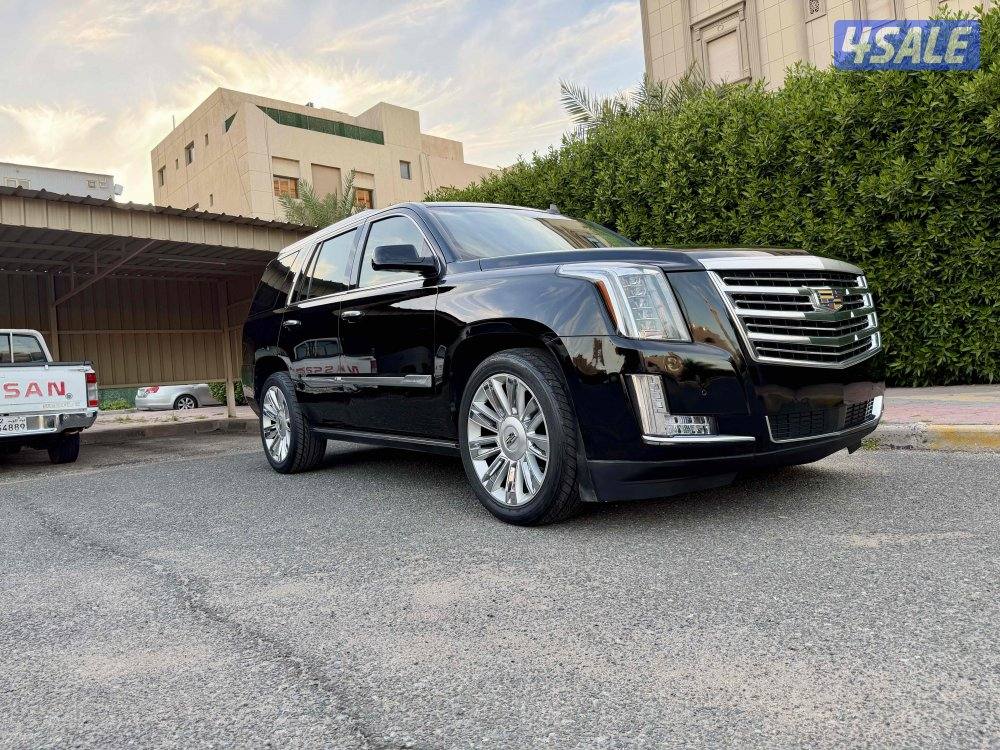 سكاليد 2015 حالة وكاله1