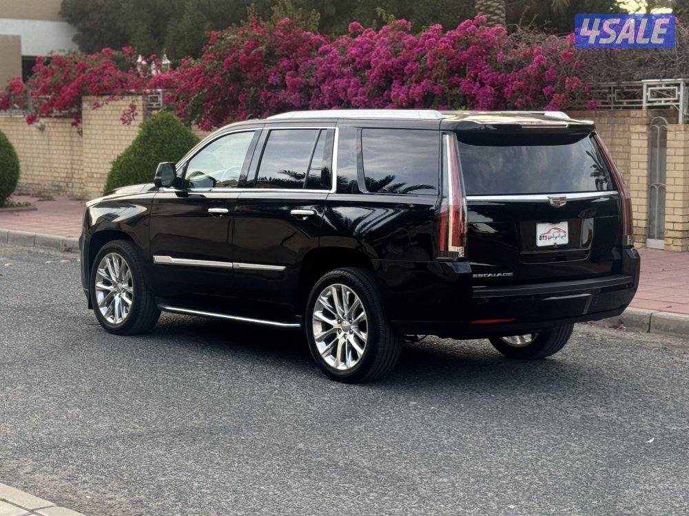 اسكاليد ٢٠٢٠4