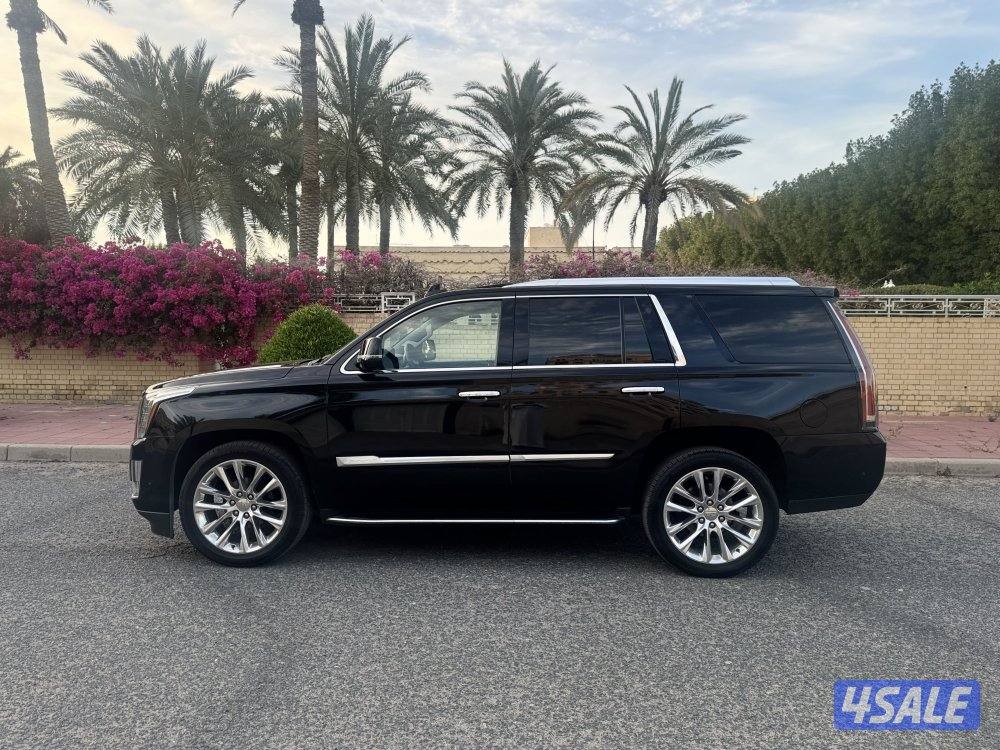 اسكاليد ٢٠٢٠5