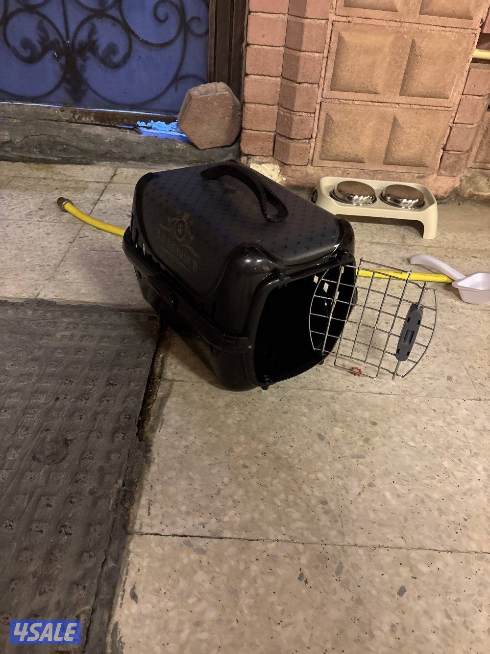 للبيع ميركات العمر ٣ اشهر شرط سلم4