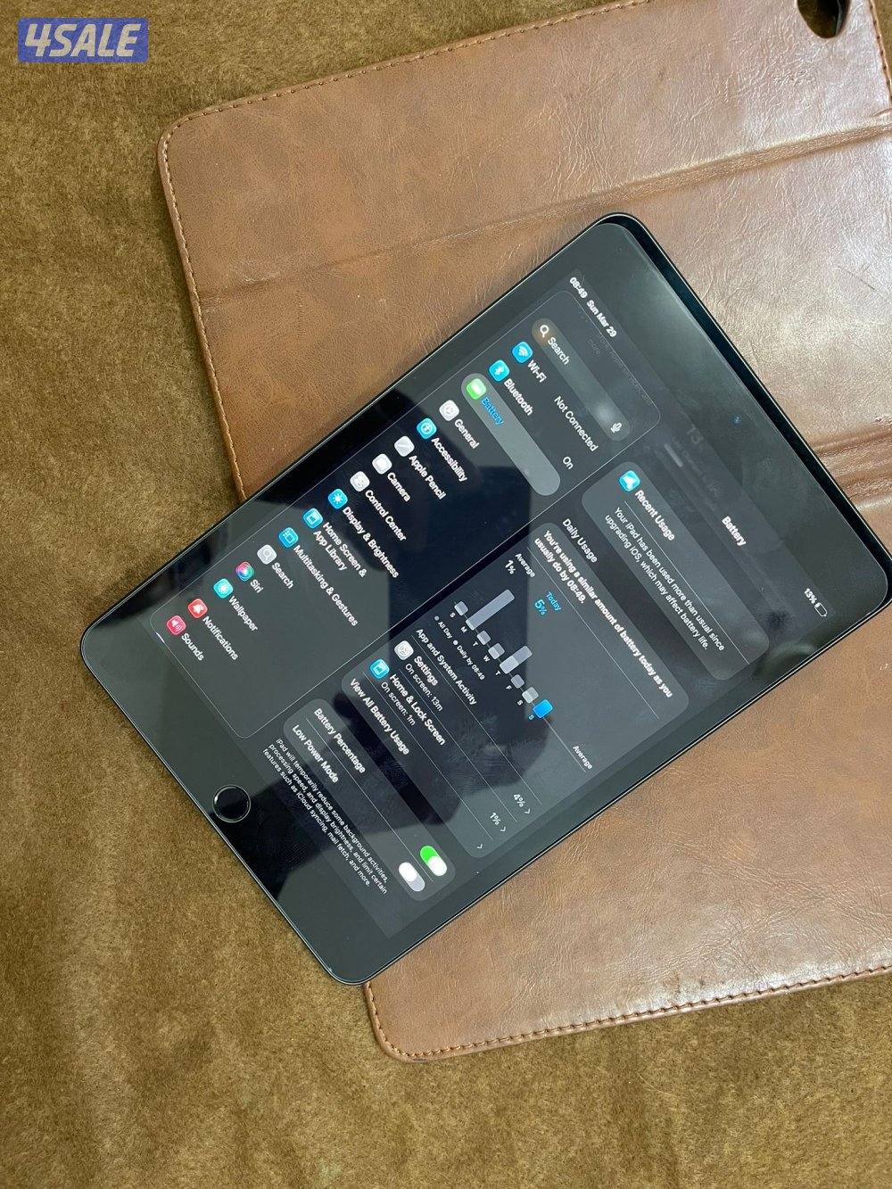 ايباد ابل ميني 5 الخامس 256 قيقا نظيف جدا ولا زلغ مع كفر اصلي3