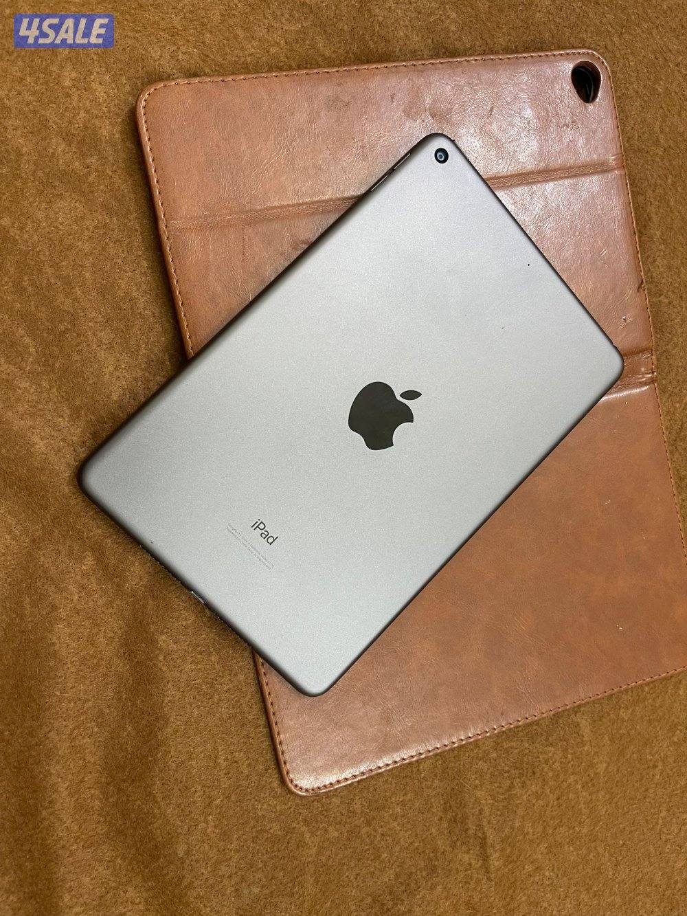 ايباد ابل ميني 5 الخامس 256 قيقا نظيف جدا ولا زلغ مع كفر اصلي10