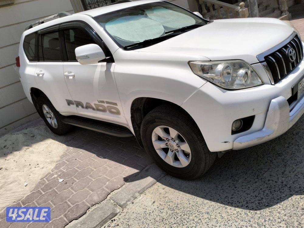 صباح الناصر1