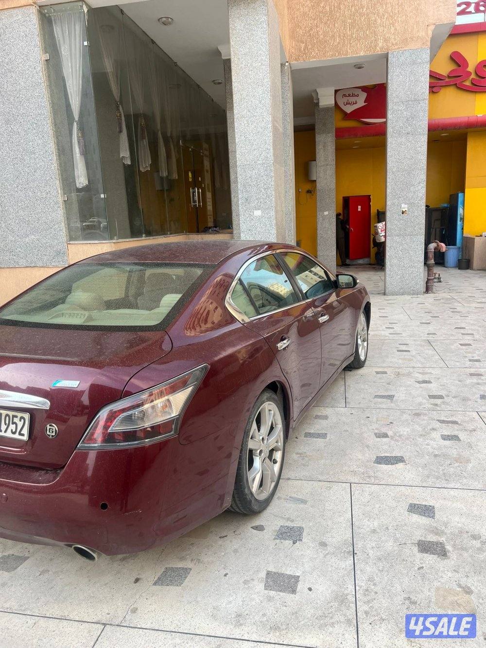 ماكسيما 20133