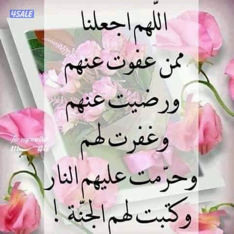 للايجار شقه بالفنيطيس بروحه في الدور ٢غرفه ٢حمام وصاله ومطبخ0