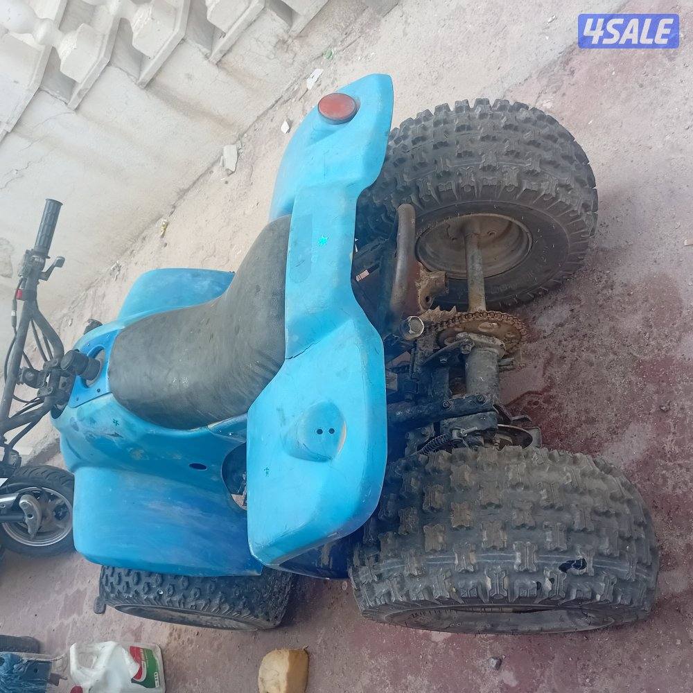 بقي تايواني حجم ١٠٠1