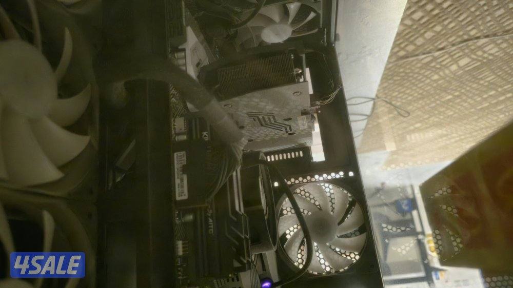 بيسي على السوم ١٥٠ وفوق4