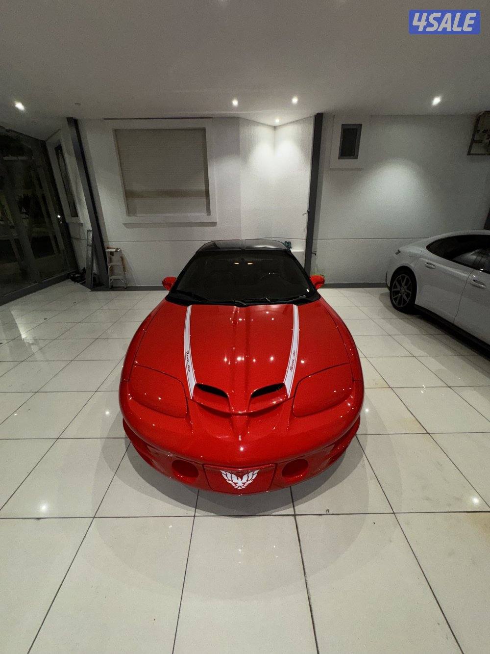 للبيع ترانز ws69