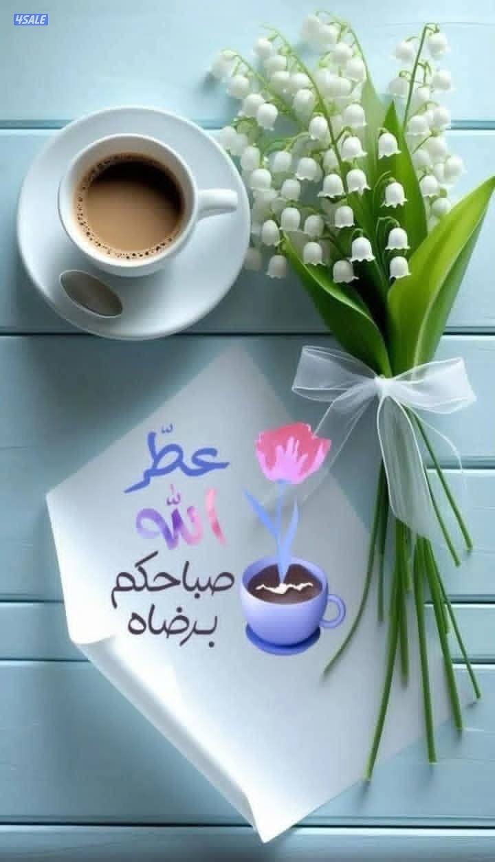 سوداني ابحث عن عمل اضافي فترة مسائية0