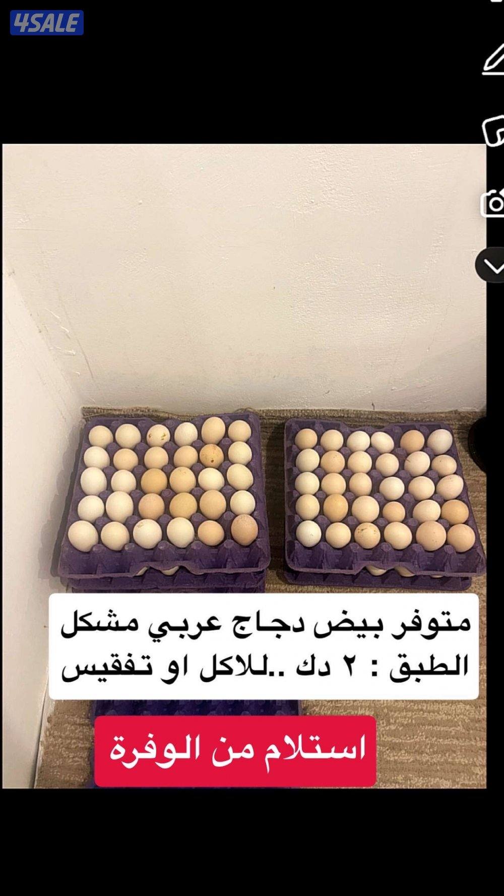 طبات حمام + ياكريم + دياجه + بيض3