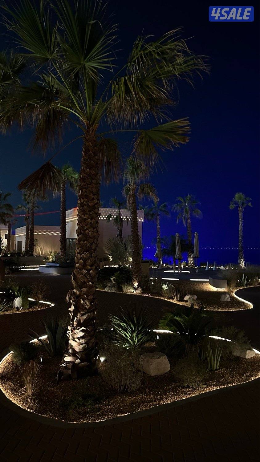 📢 باحثة عن عمل (عن بُعد أو من مكتب)0