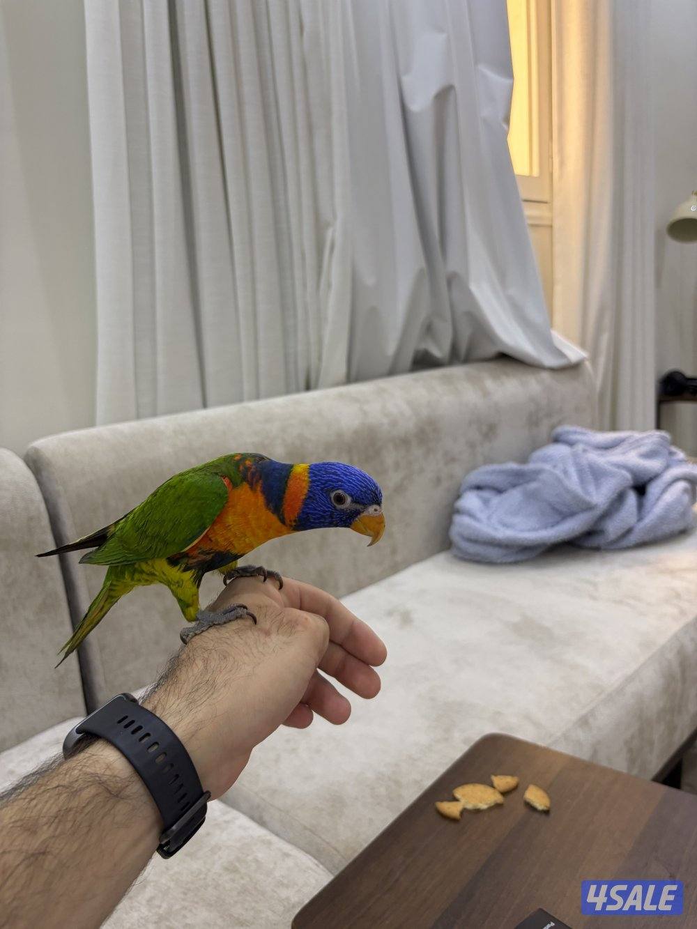 للبيع لوري1