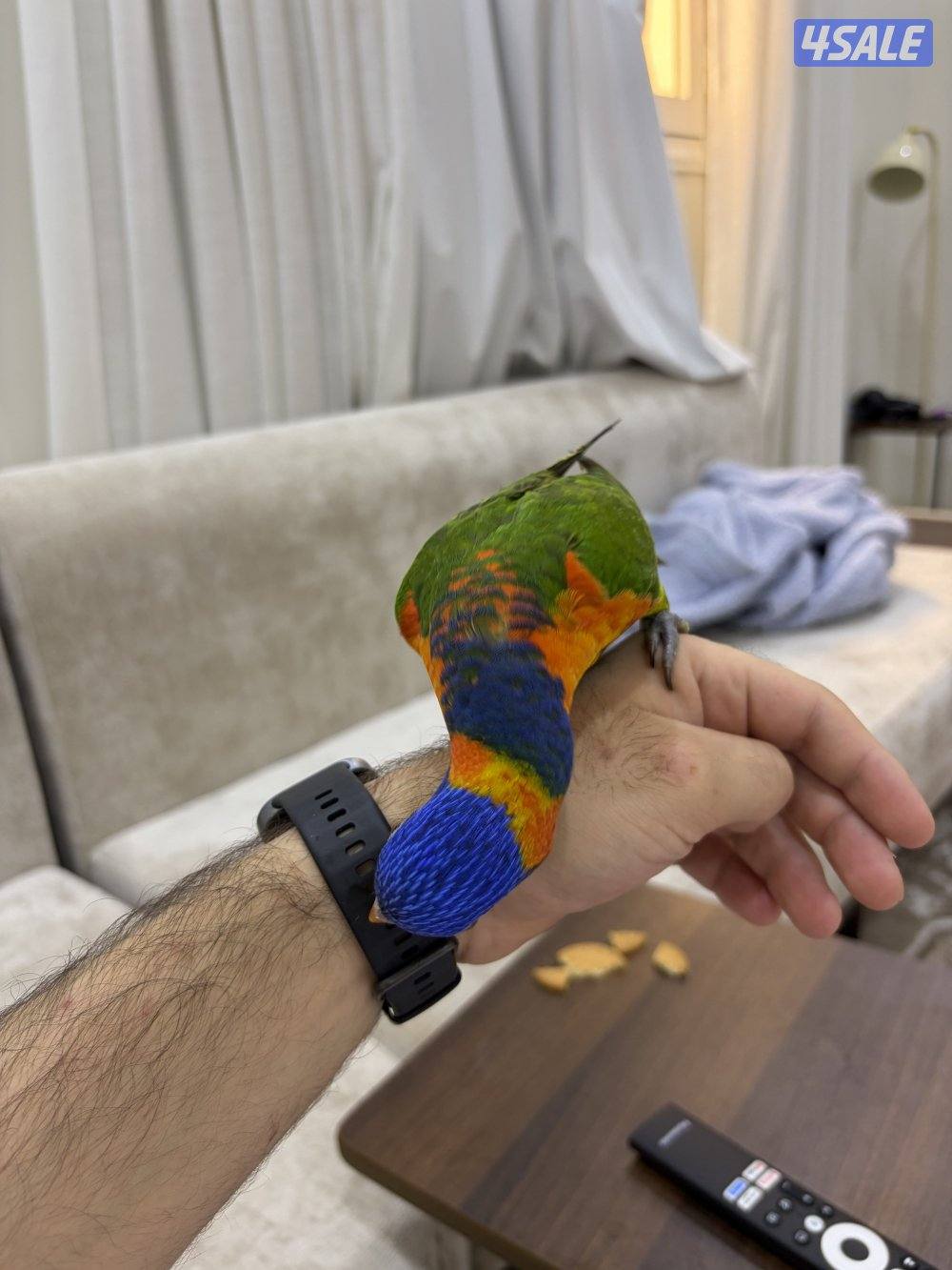 للبيع لوري2