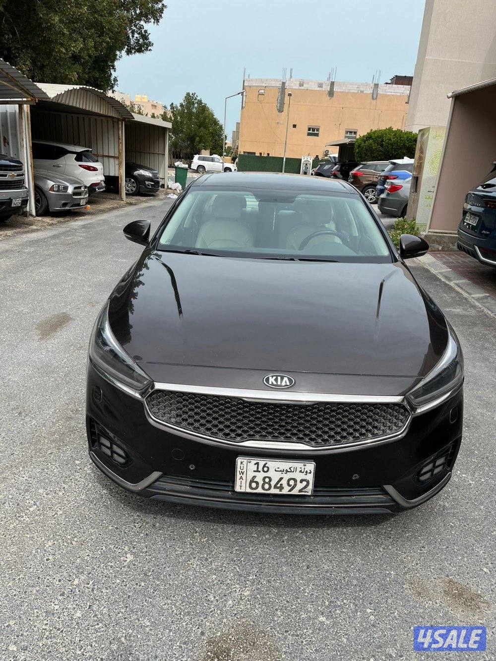 كيا كادينزا  ٢٠١٩1