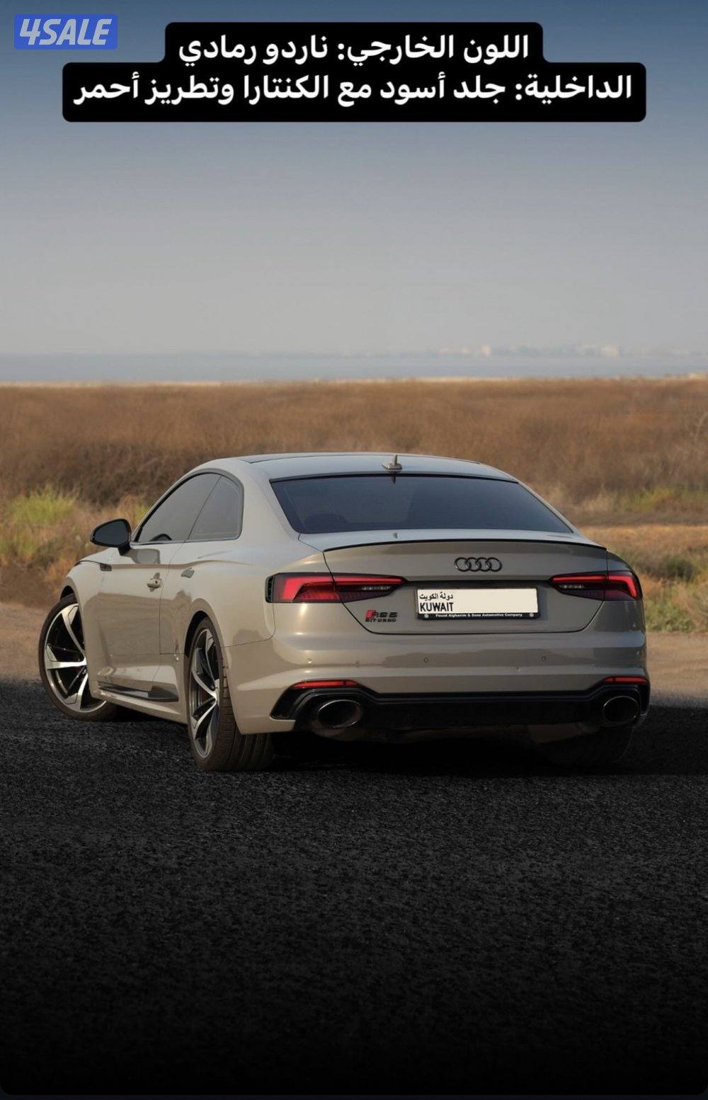 Audi rs513