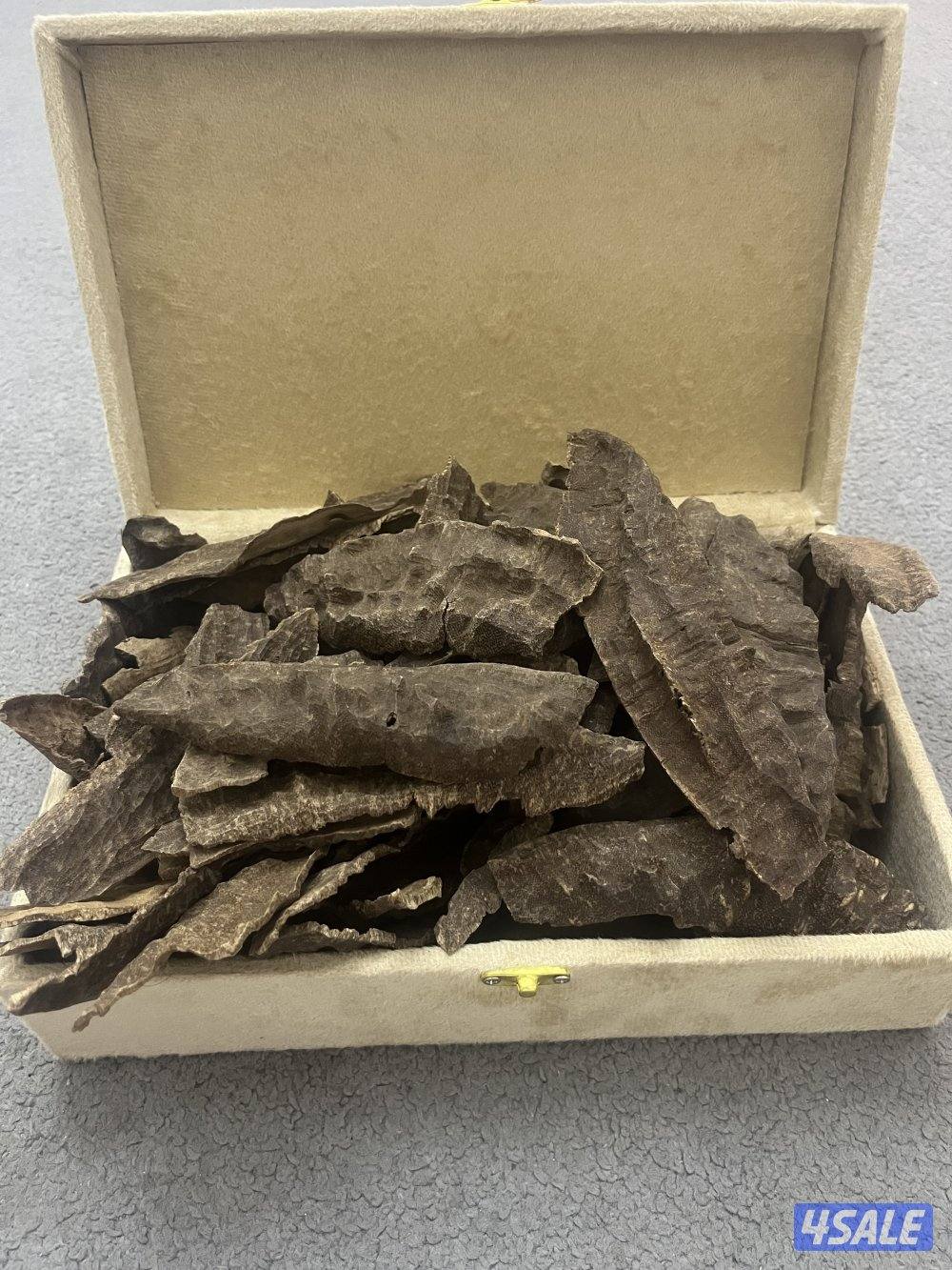 جار هندي مناسبات تربل سوبر0