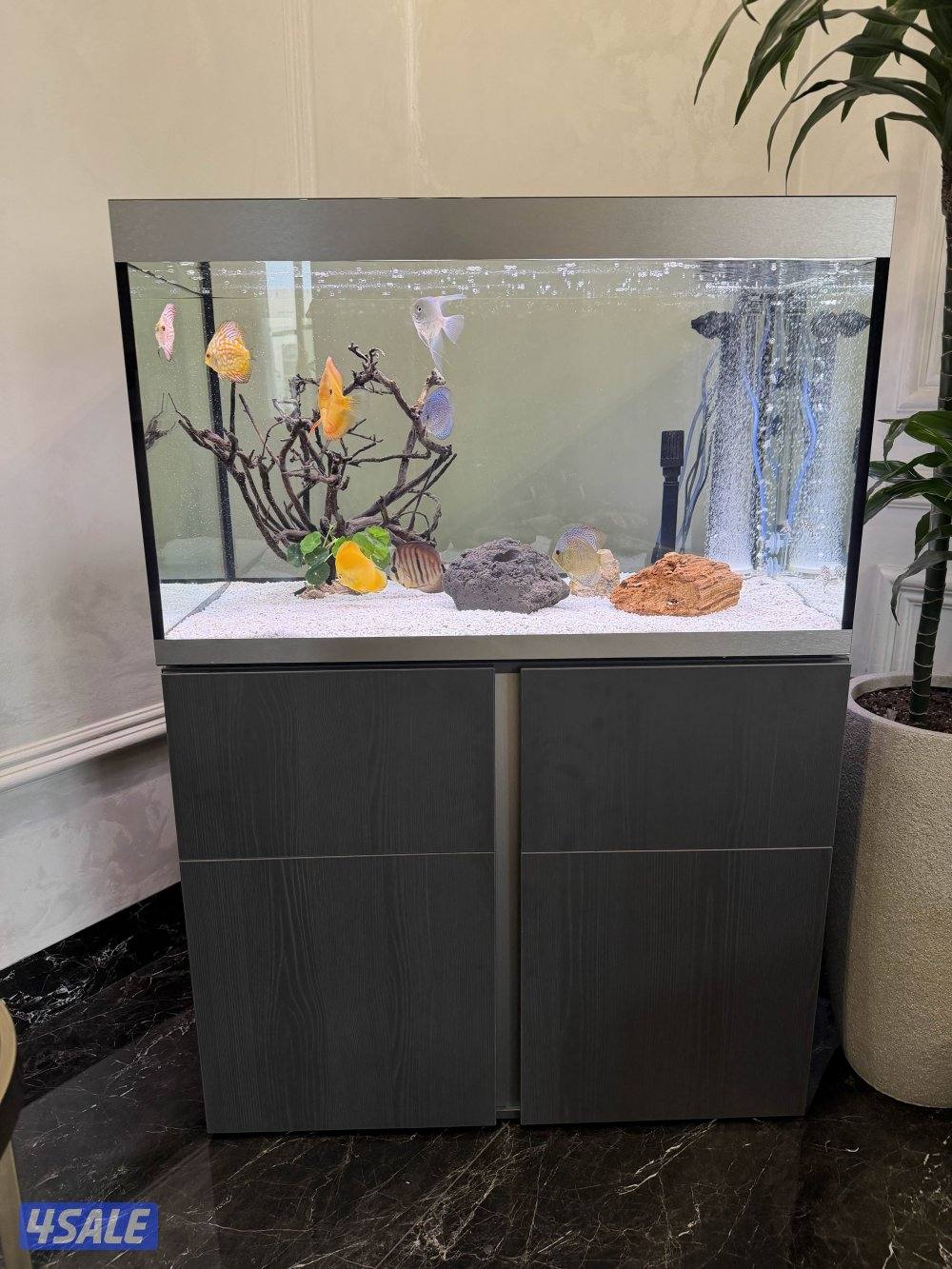 حوض سمك جديد0