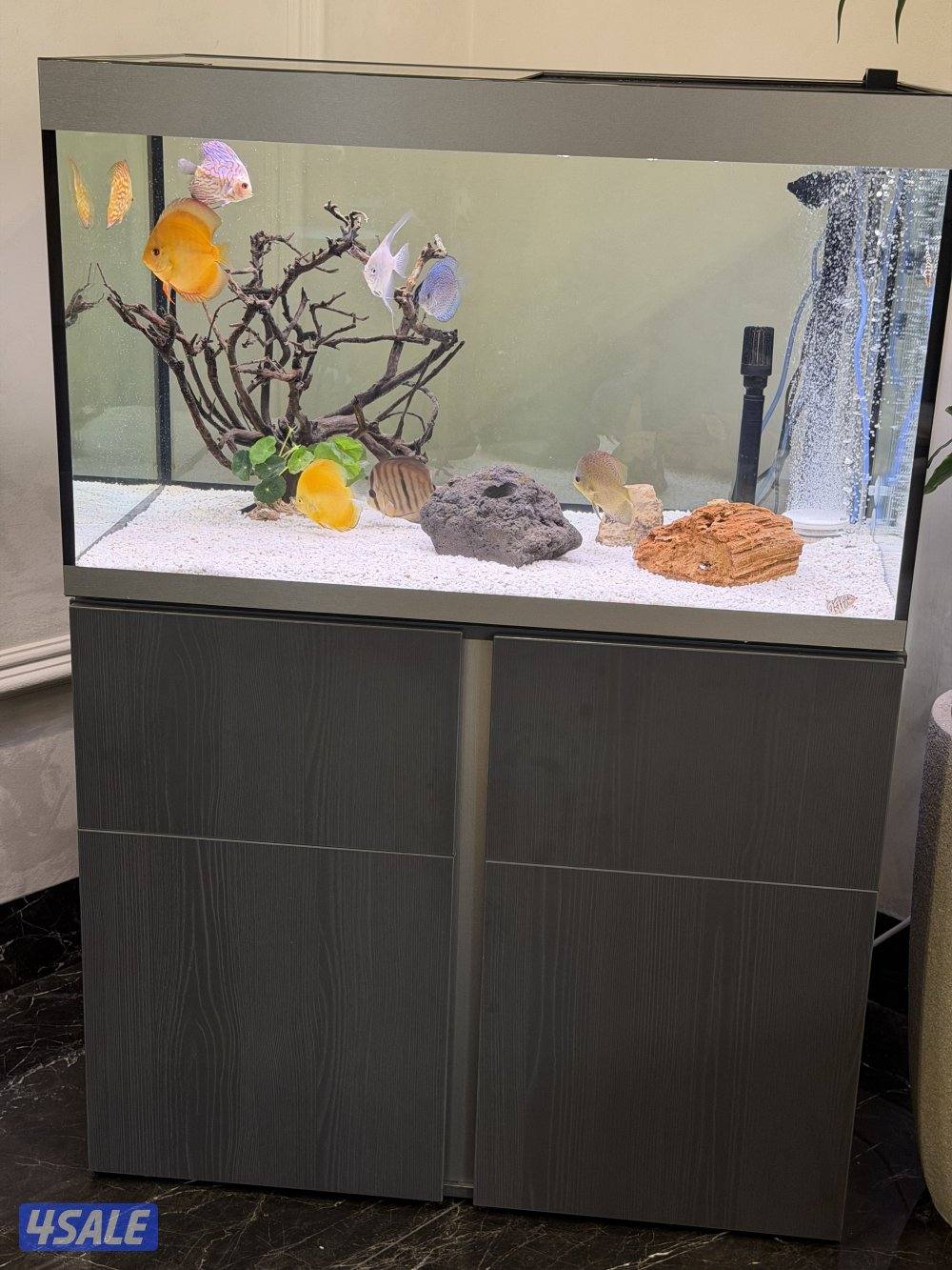 حوض سمك جديد1