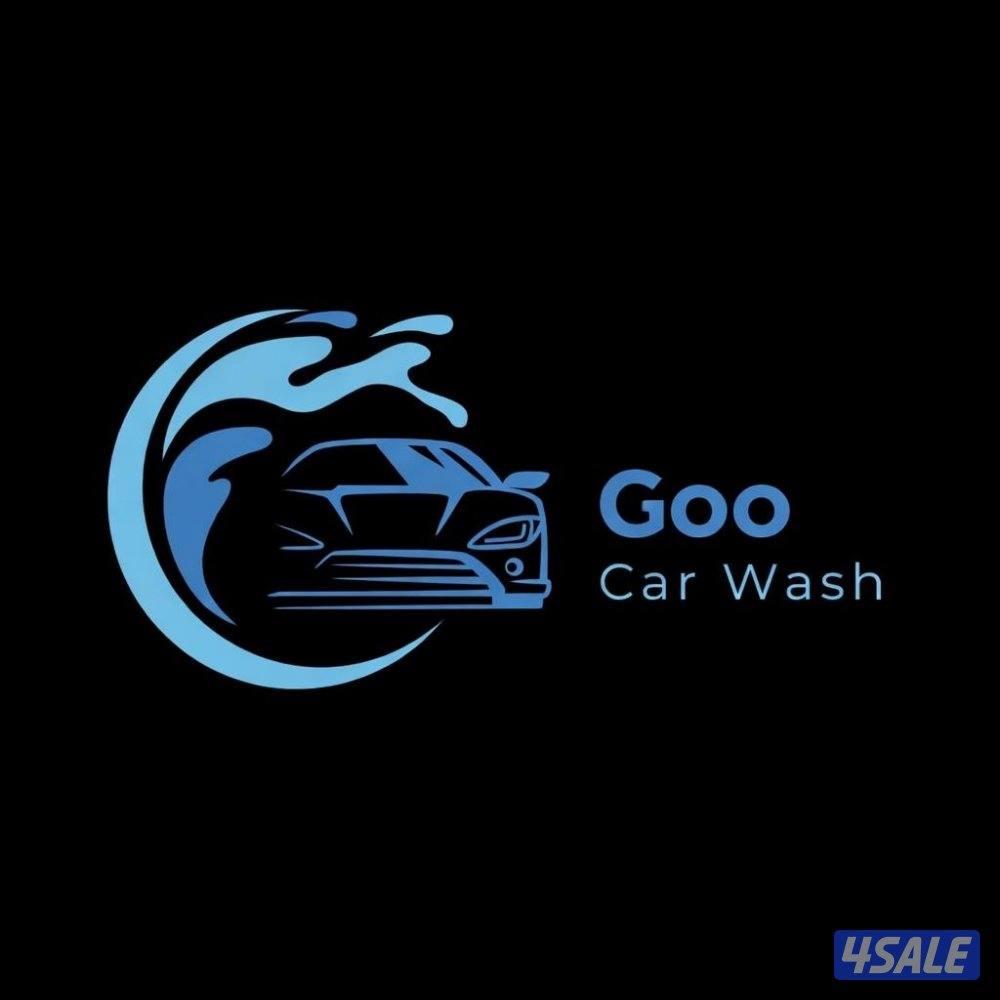 يوجد بدينار غسيل1