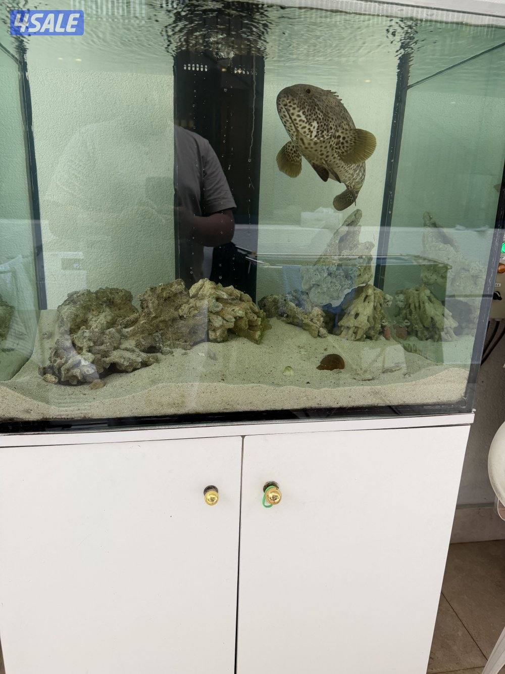 بالول مع الحوض قابل للمساومه0