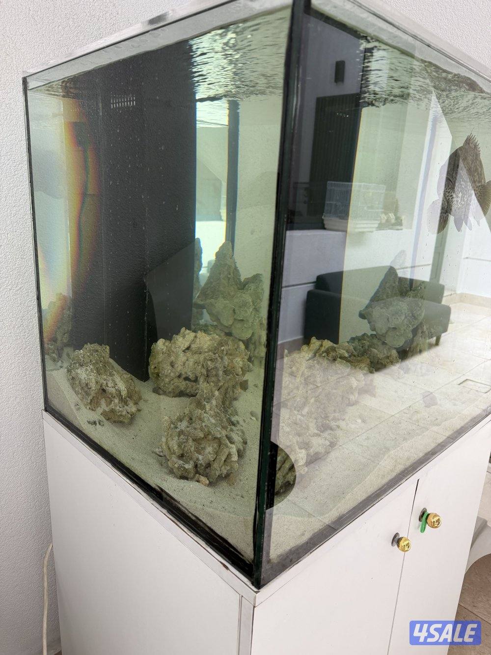 بالول مع الحوض قابل للمساومه2