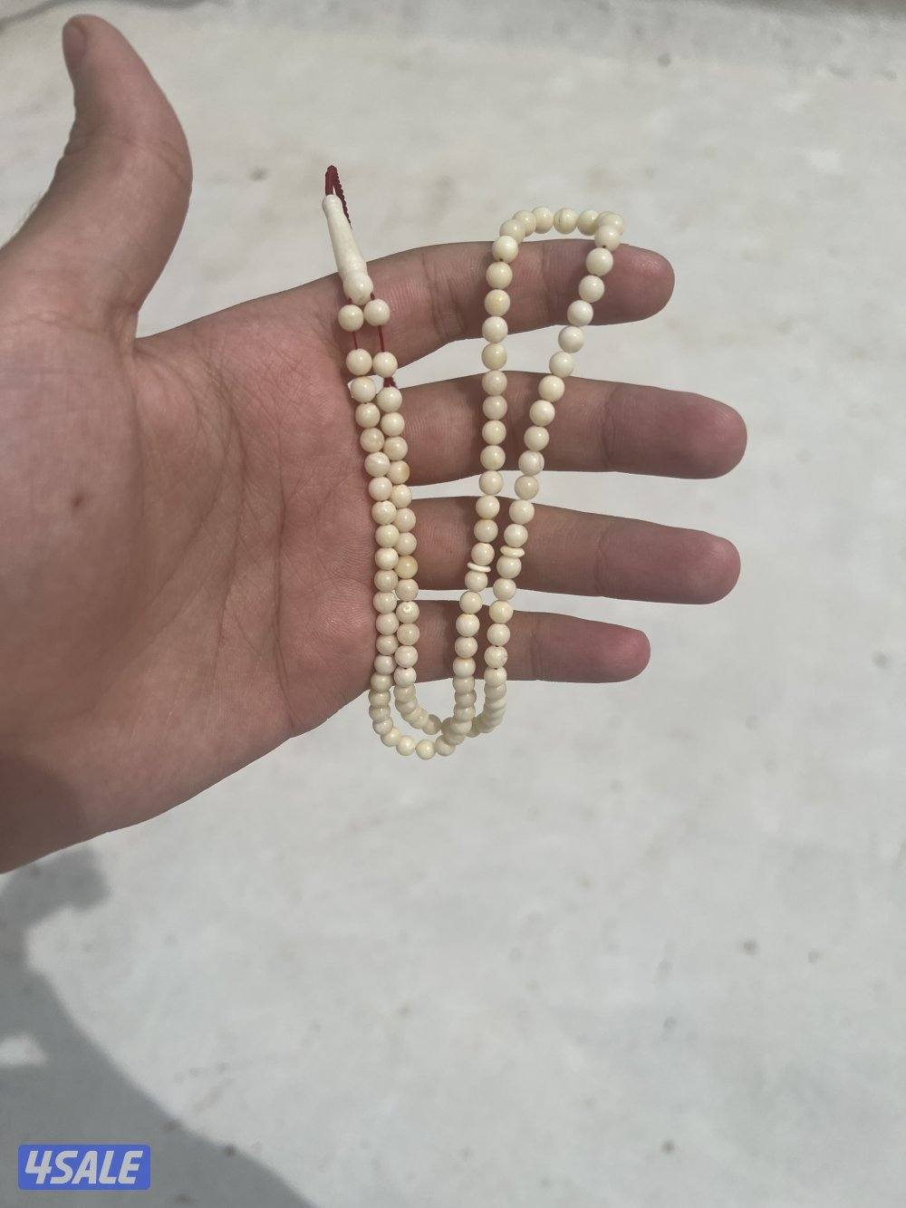 مسباحين كهرب طبيعي حر جبس و شفاف سوبر5