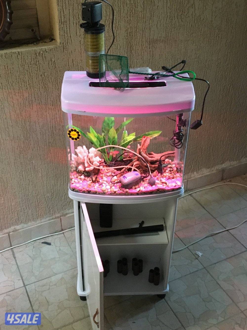 حوض سمك مع كامل اغراضه2