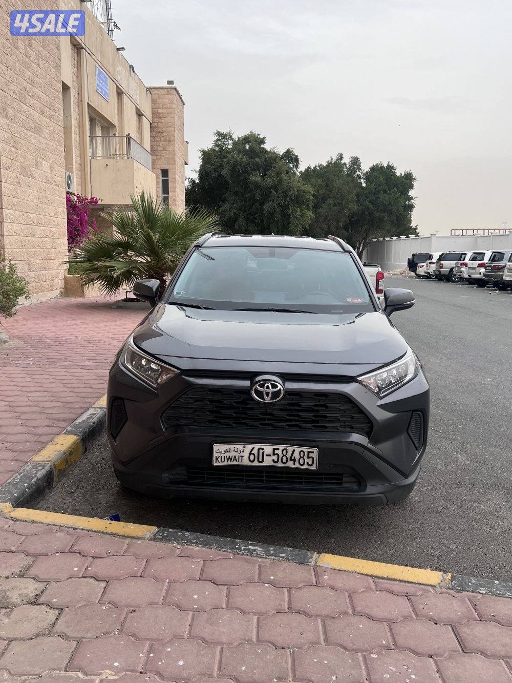 " راف فور 2022 "2