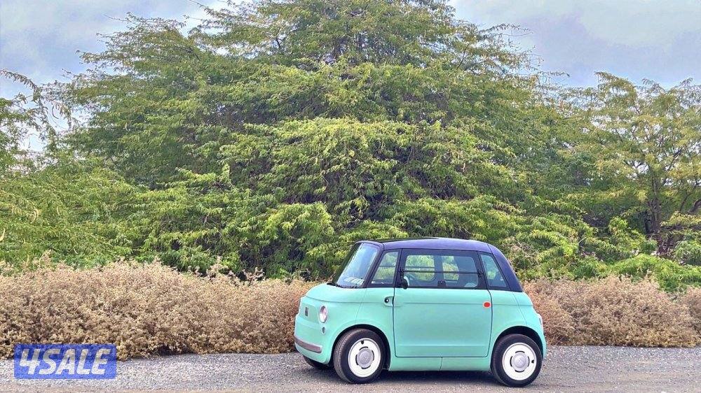 فيات كهربائيه0