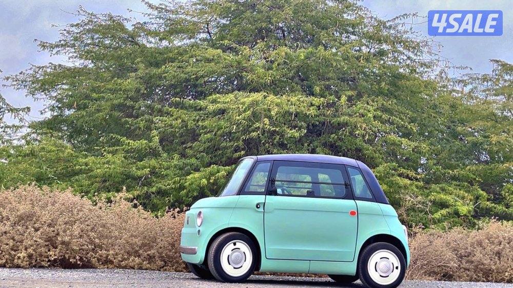 فيات كهربائيه3