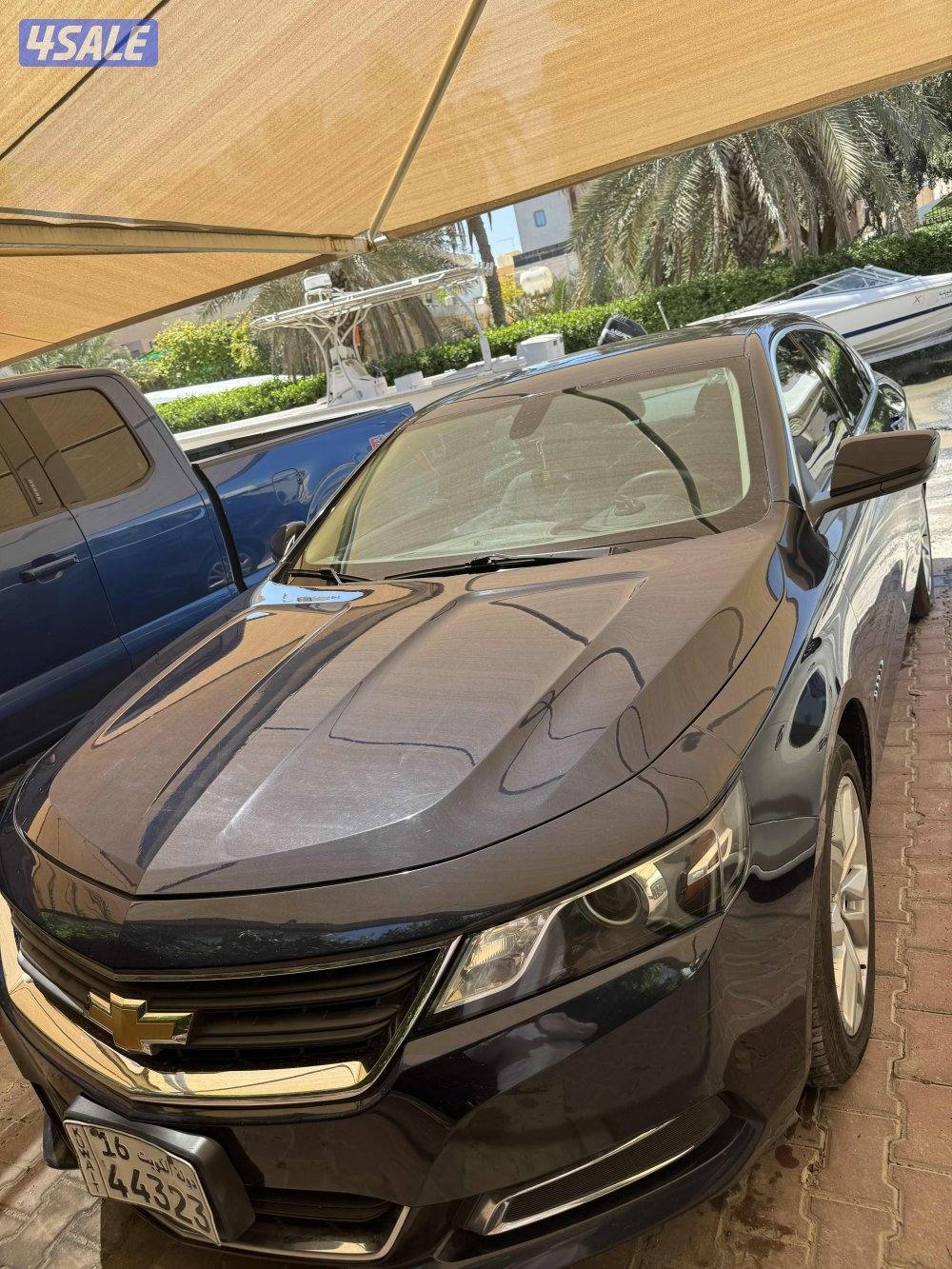 للبيع شفر امبالا 2018 صبغ وكاله0