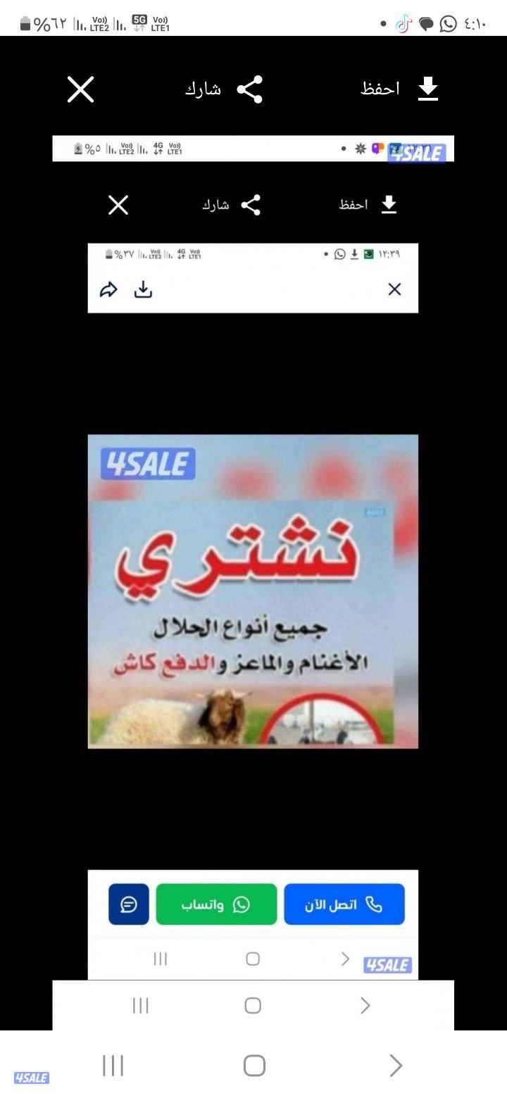 نشتري جميع انواع الحلال غنم ومعزة العدد مفتوح والدفع كاش0