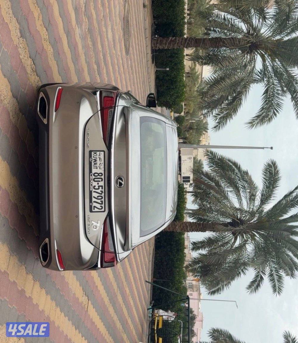 البيع صالون2