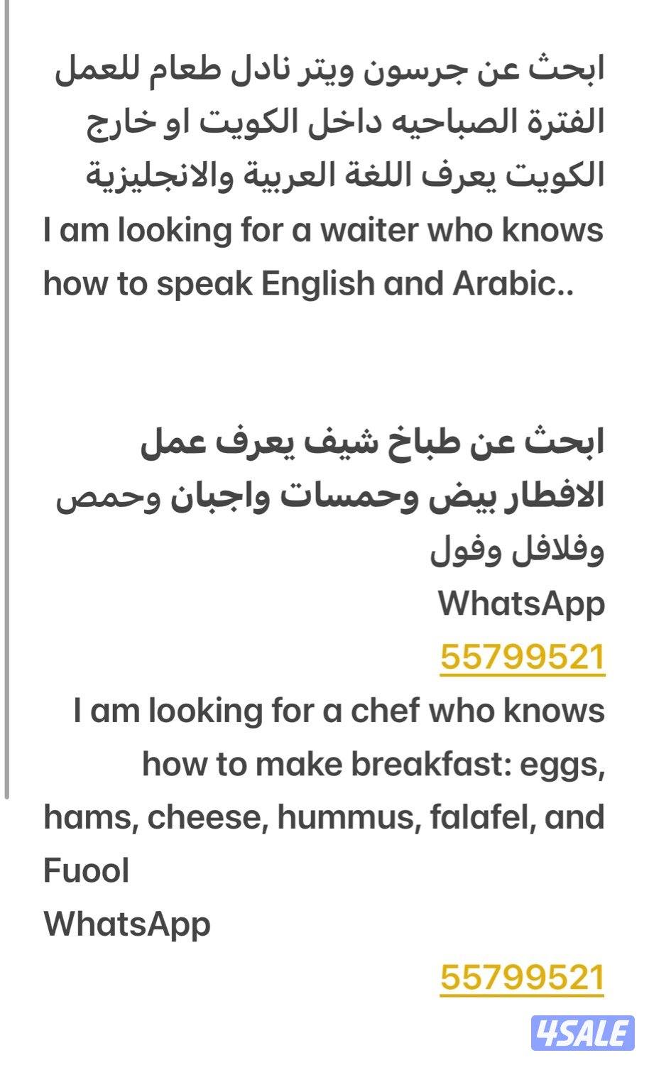 ابحث عن ويتر جرسون وطباخ ريوق Find a food waiter and chef0