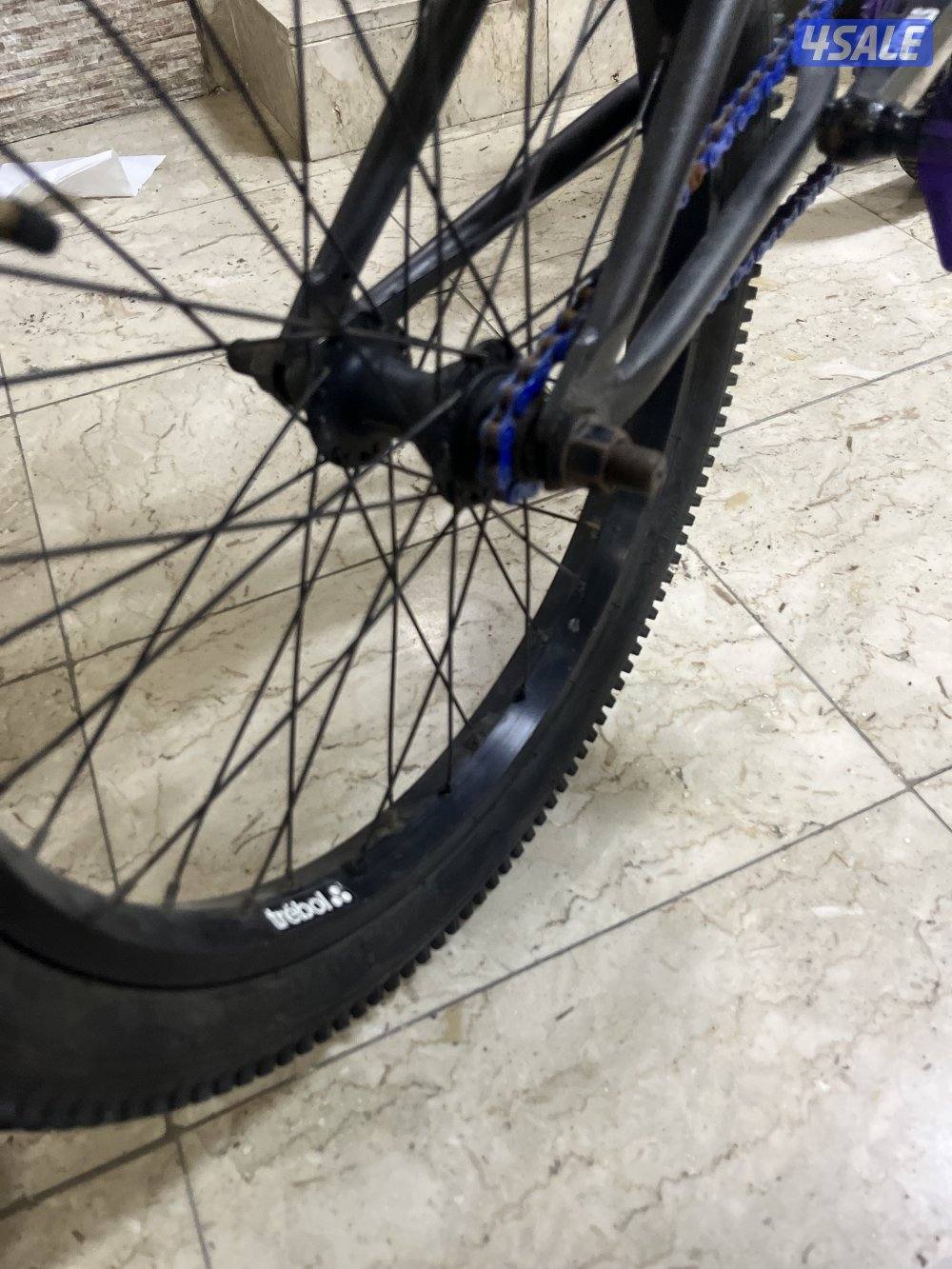 قاري ستولن نضيف4