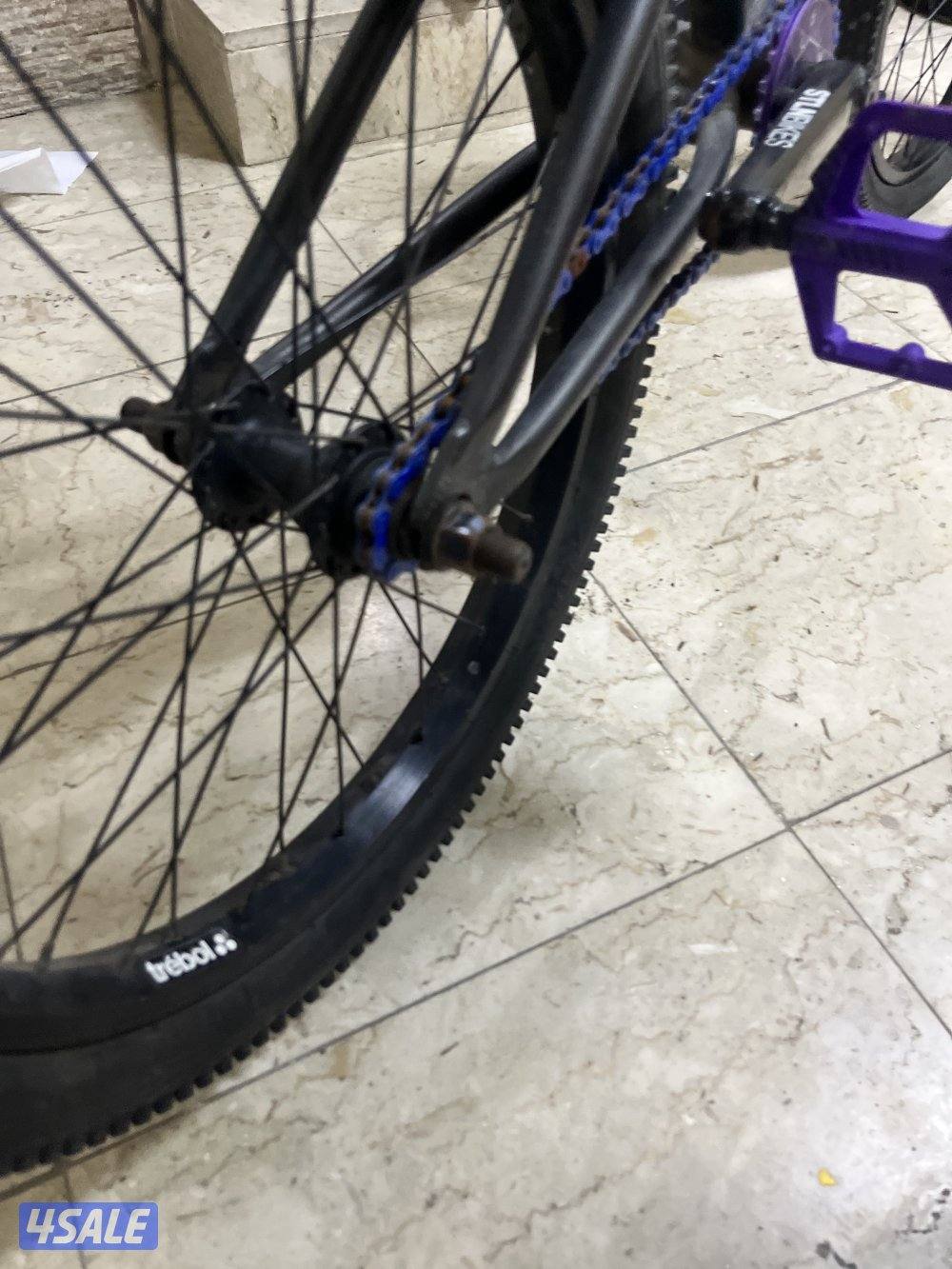 قاري ستولن نضيف5