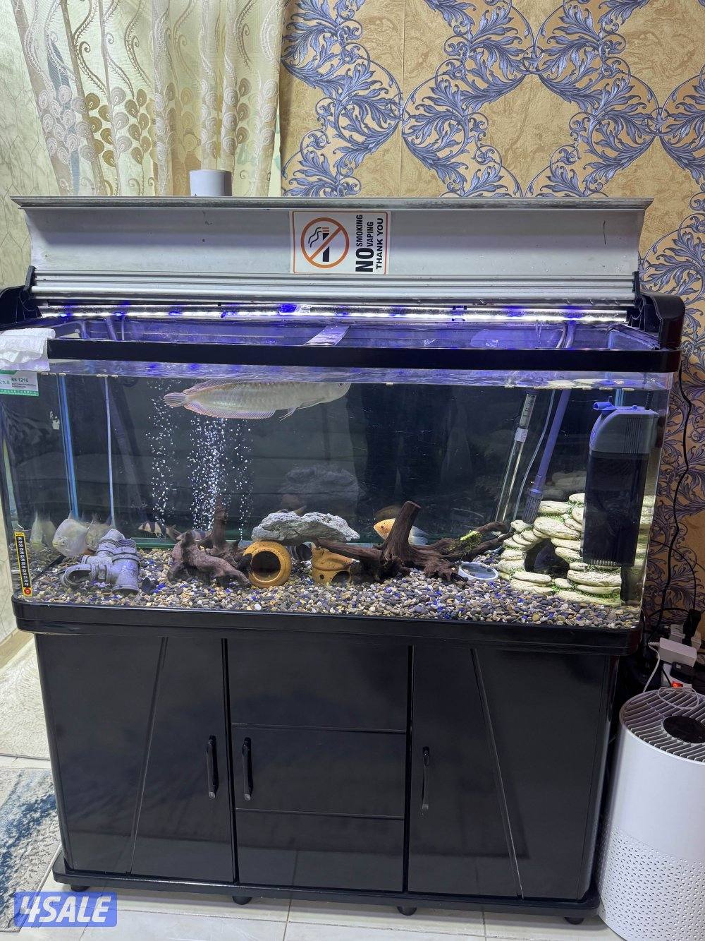 للبيع سمك مع الحوض او بدون الحوض مع ثلاث فلاتر وكامل اغراضه واتساب0