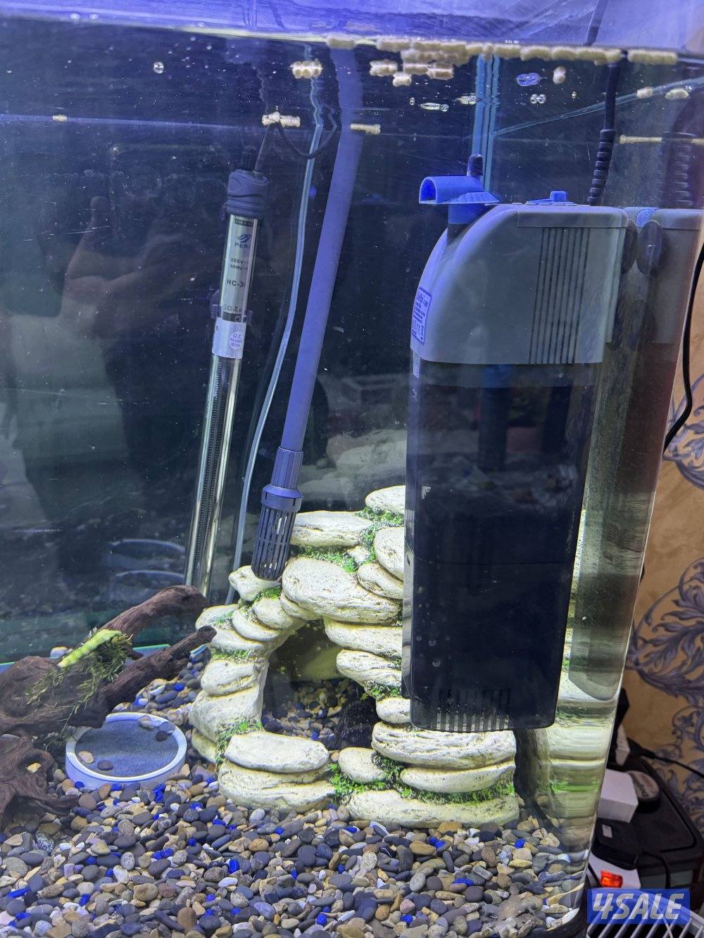 للبيع سمك مع الحوض او بدون الحوض مع ثلاث فلاتر وكامل اغراضه واتساب7