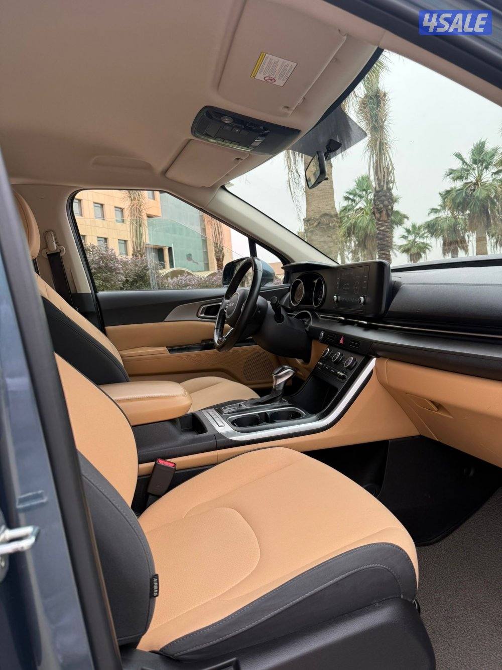 للبيع كرنفال موديل 20221