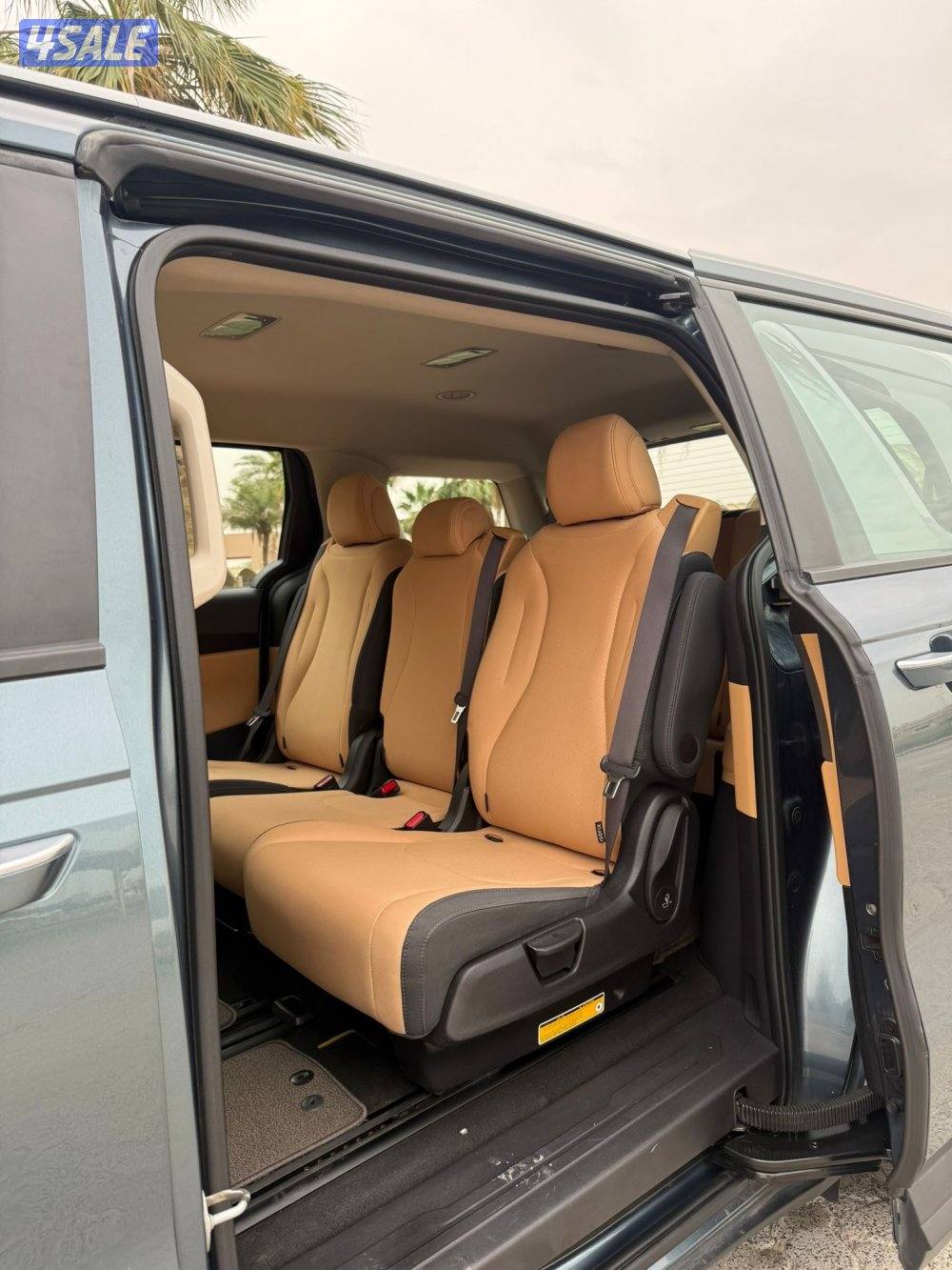 للبيع كرنفال موديل 20229