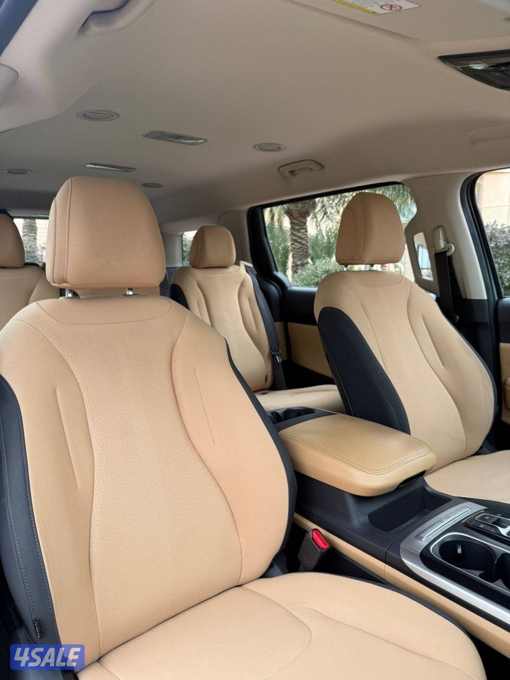 للبيع كرنفال موديل 202210