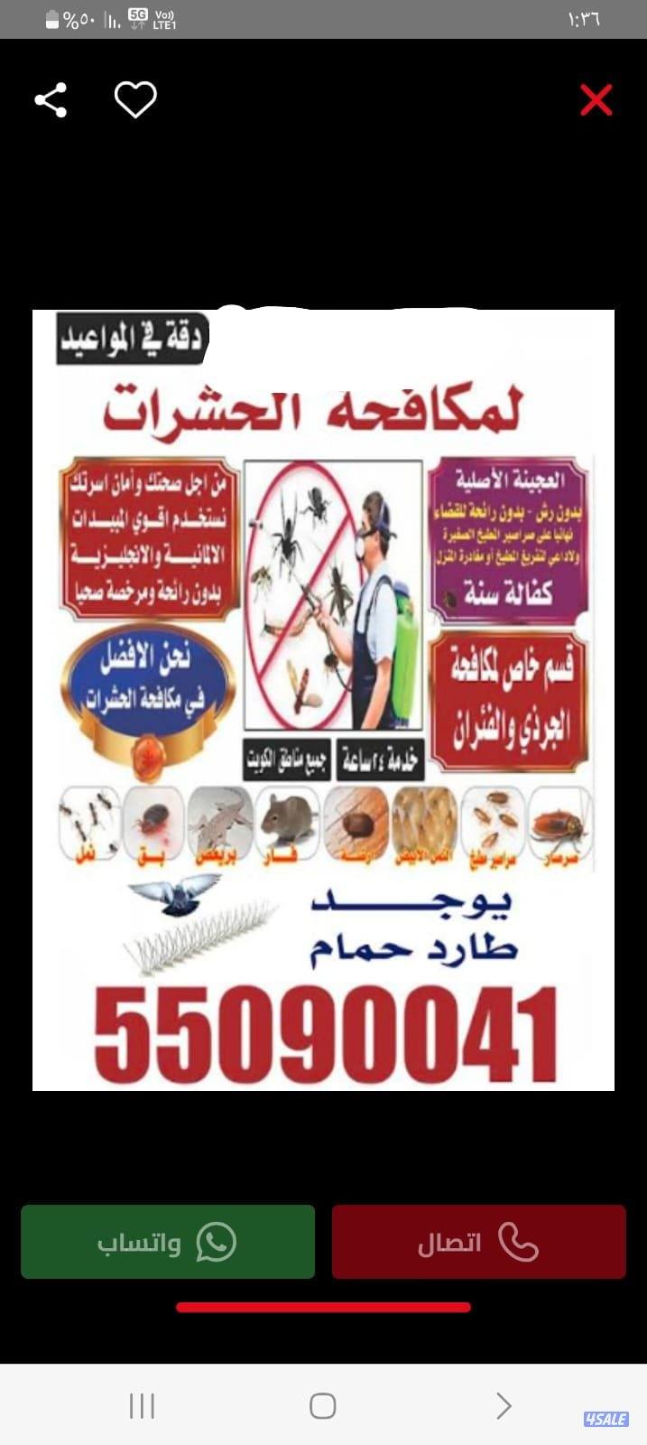 مكفحت الحشرات وقوارض نمل فران نمس صرصيرشبك حمام0