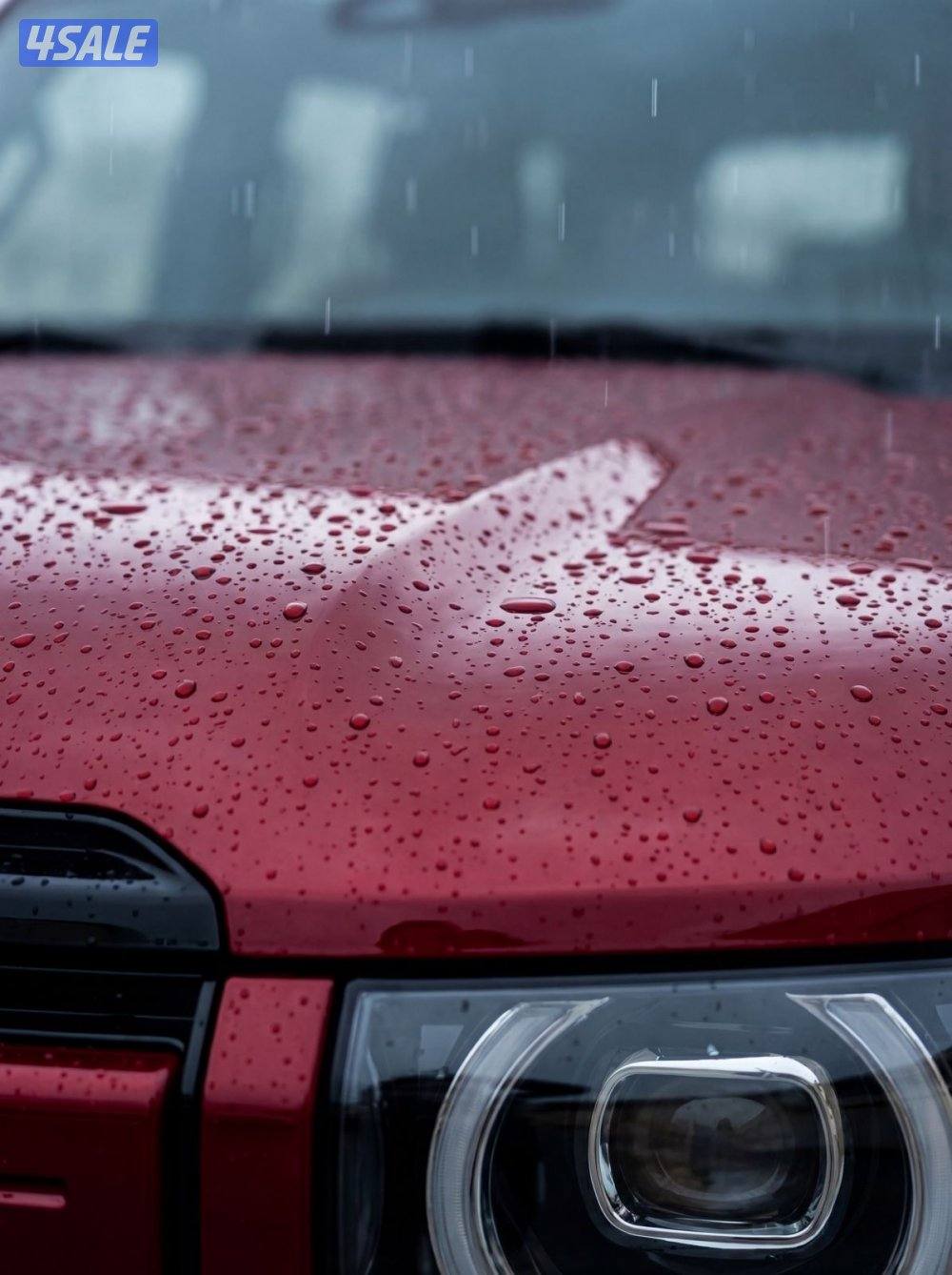 SOCIAL MEDIA EXPERT/ ACCOUNT MANAGER0