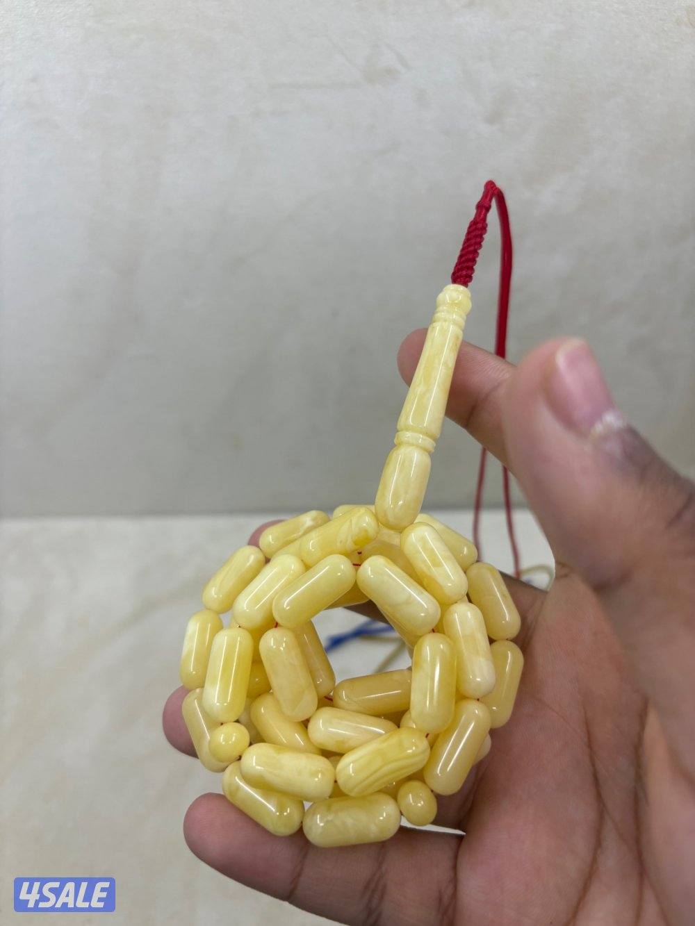 مسباحين صنوبريات معجنين يخرعون0