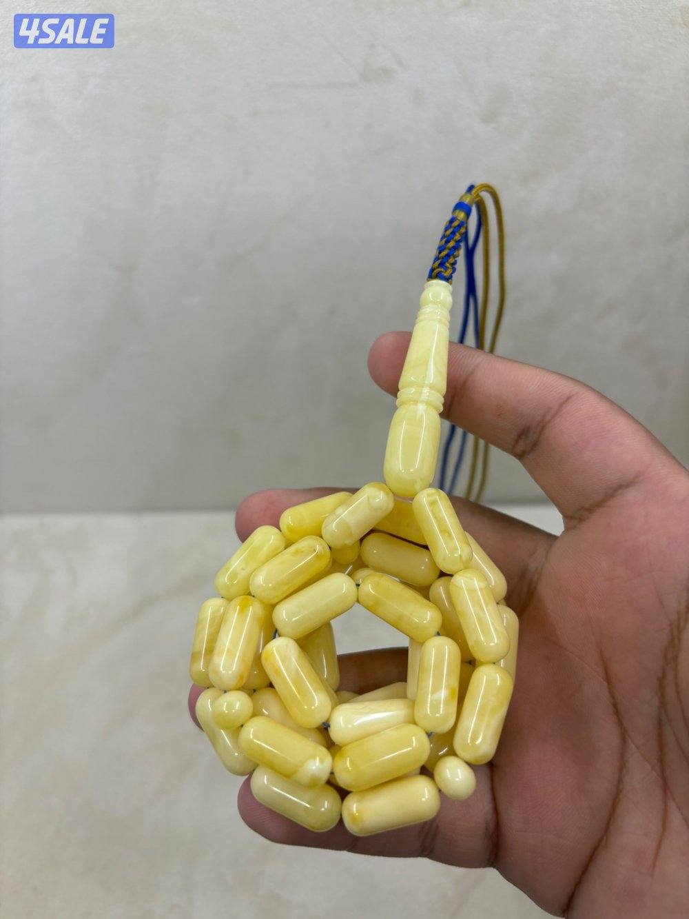 مسباحين صنوبريات معجنين يخرعون1